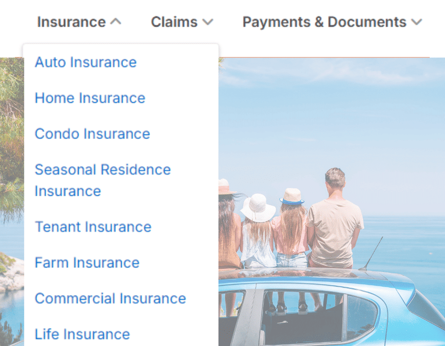 Insurance Provider Case Study Solutions (2)